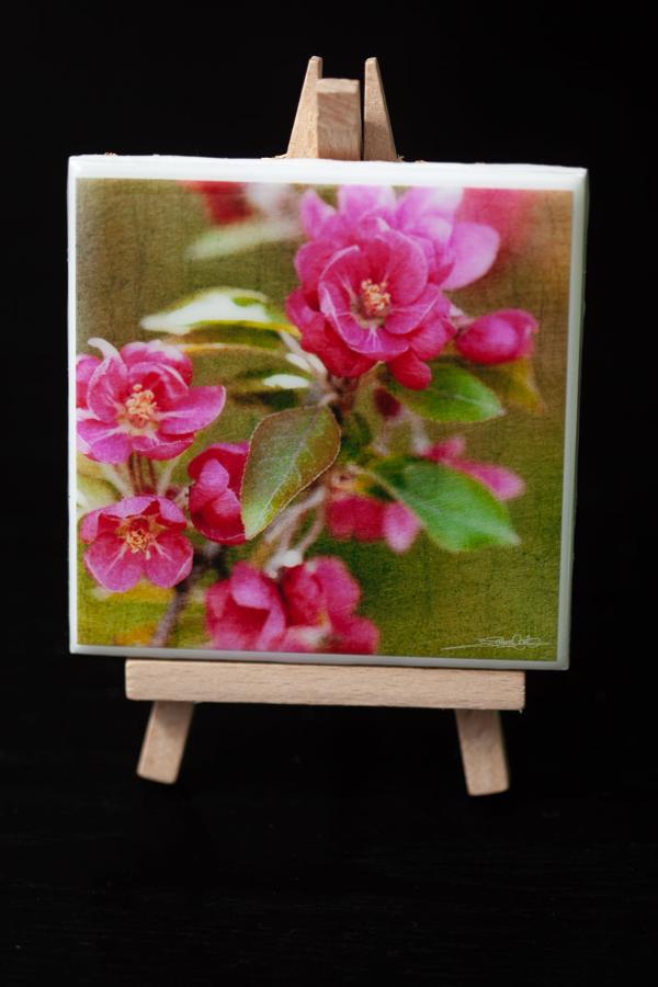 art mini for your home or office decor