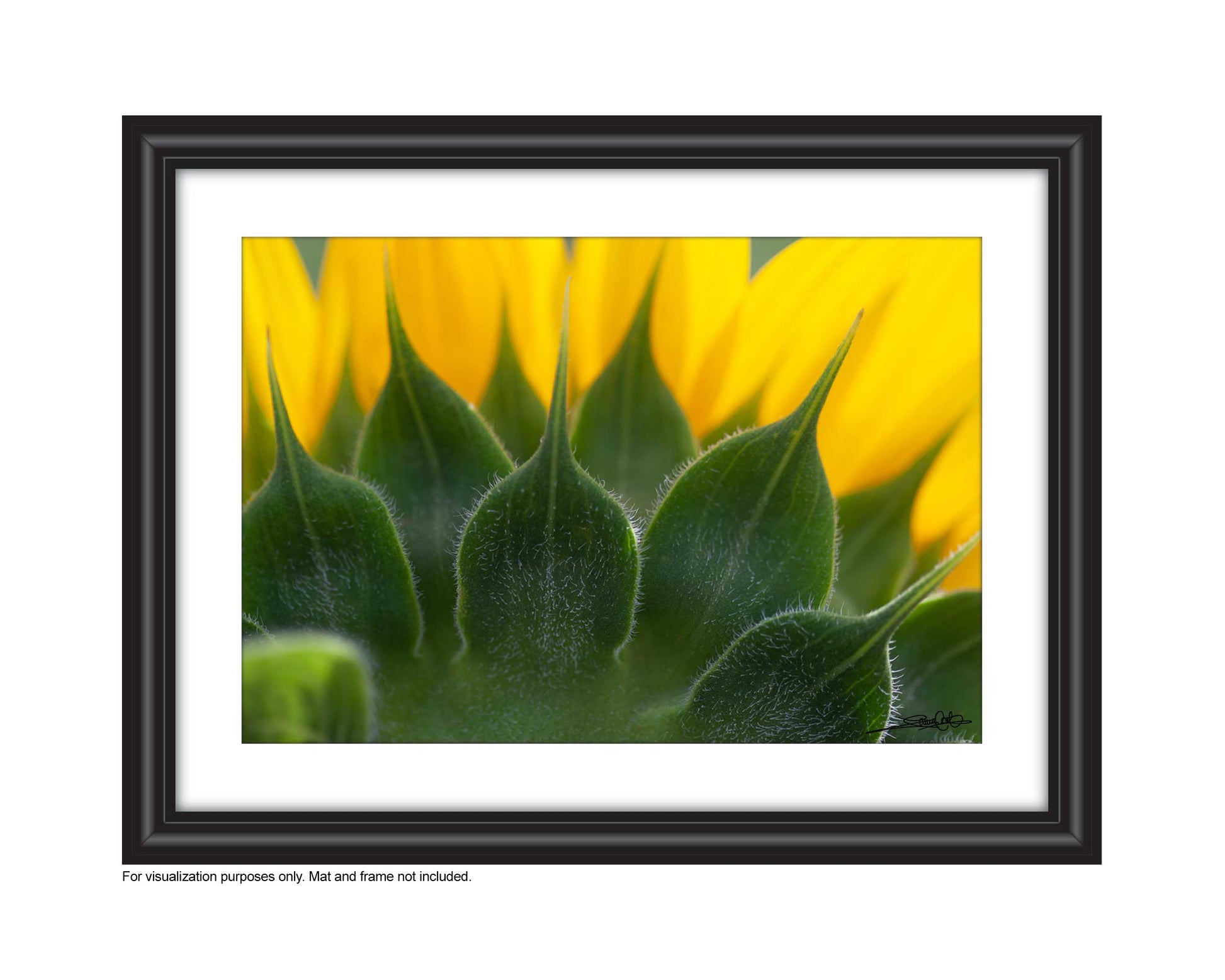 nature wall art 