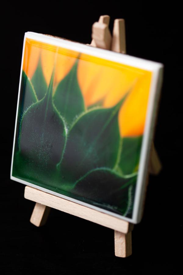 art mini for your home or office decor