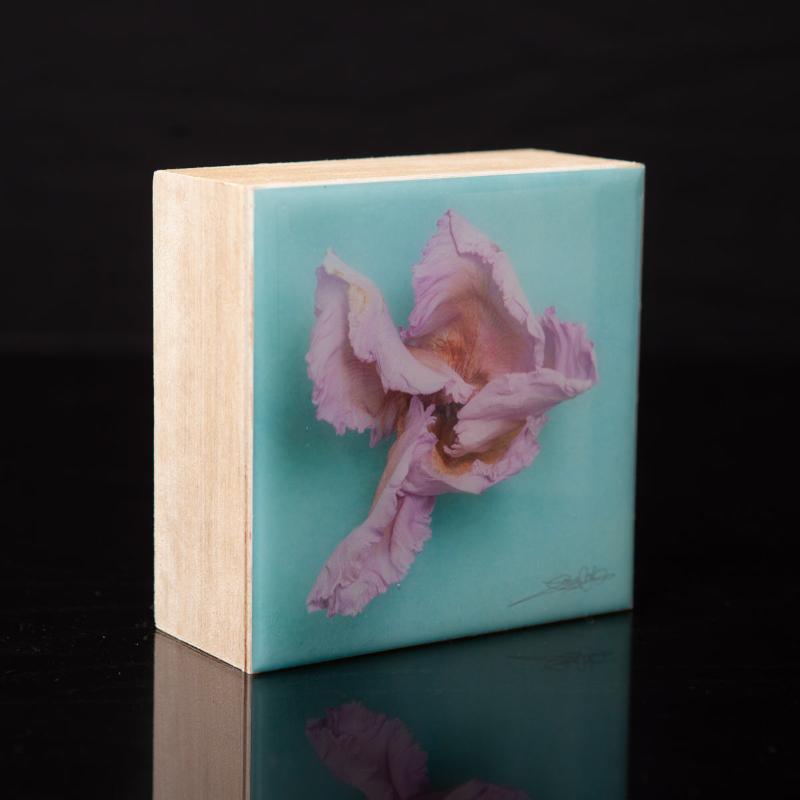 Wall Art Featuring Laura Cook's Photograph Swirl, encased in resin 