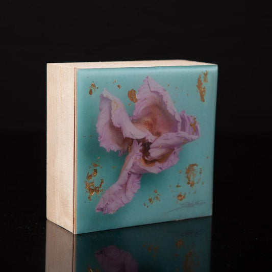 Wall Art Featuring Laura Cook's Photograph Swirl, encased in resin 