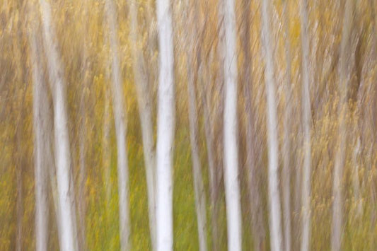 add to your art collection with theses colourful, inspiring photography prints by Laura Cook