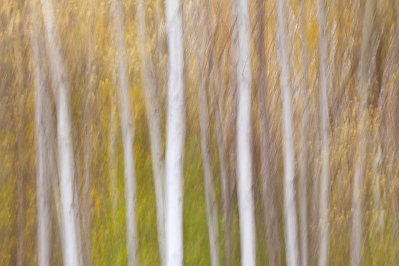 add to your art collection with theses colourful, inspiring photography prints by Laura Cook