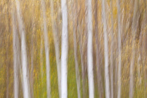add to your art collection with theses colourful, inspiring photography prints by Laura Cook