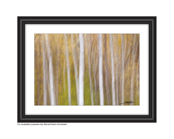 add to your art collection with theses colourful, inspiring photography prints by Laura Cook