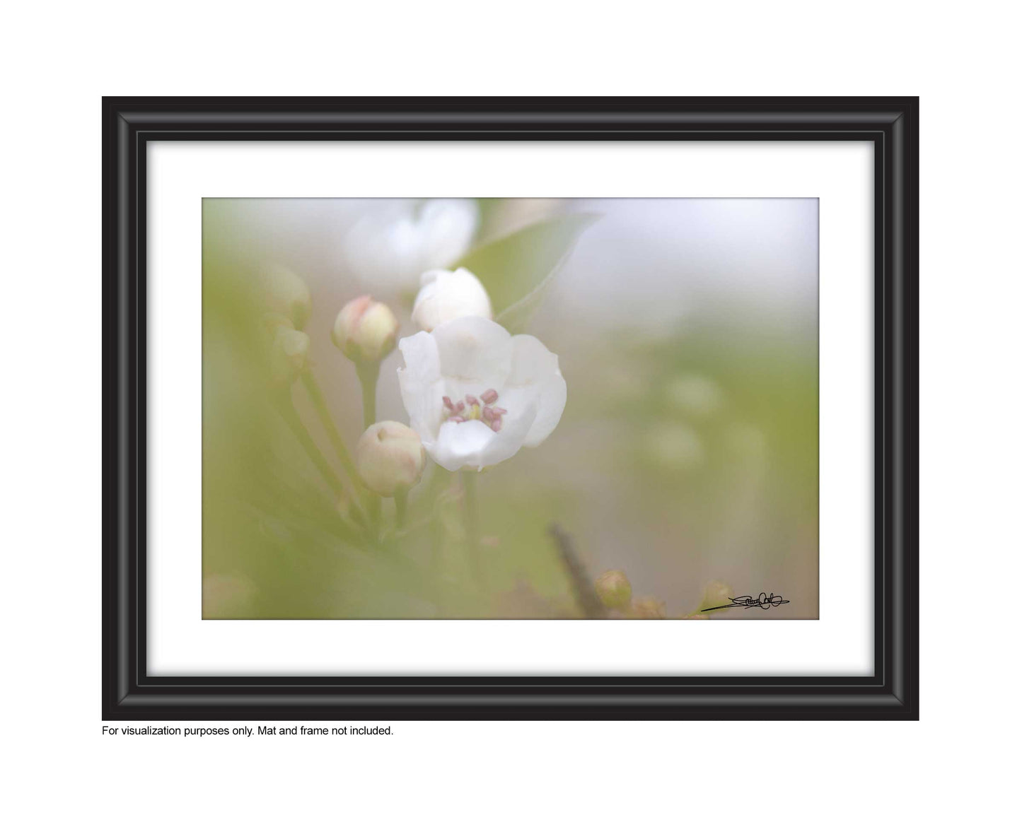 Affordable Art for your space by Laura Cook