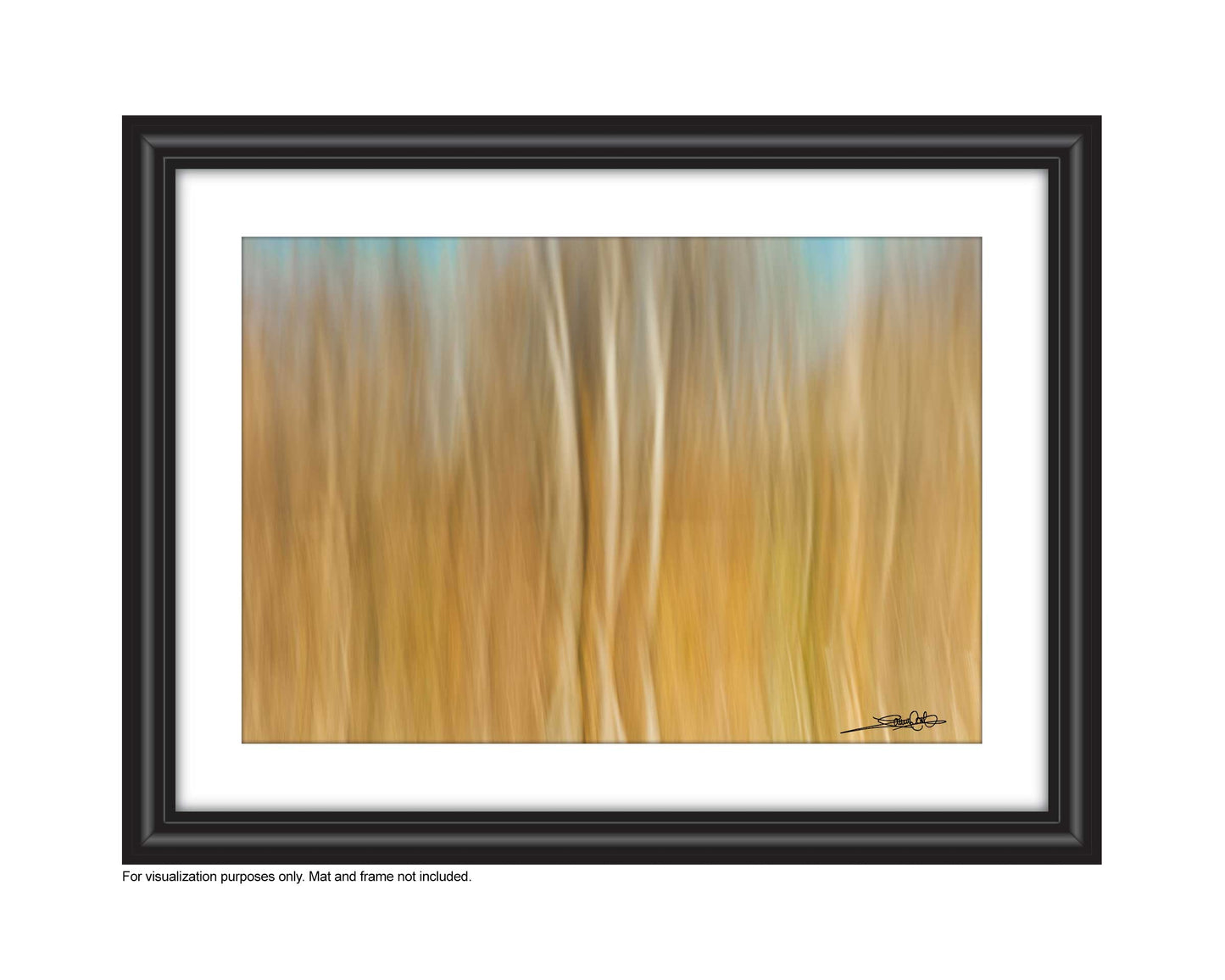add to your art collection with theses colourful, inspiring photography prints by Laura Cook