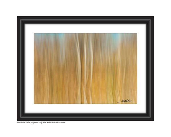 add to your art collection with theses colourful, inspiring photography prints by Laura Cook