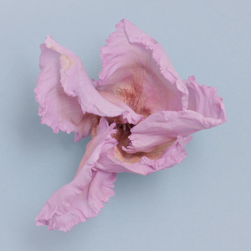 add to your art collection with theses colourful, inspiring photography prints by Laura Cook