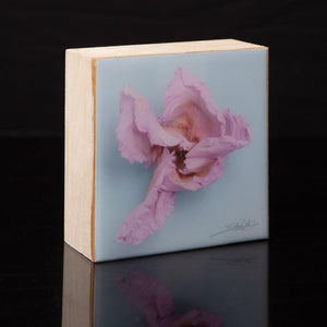Wall Art Featuring Laura Cook's Photograph Twirl, encased in resin 