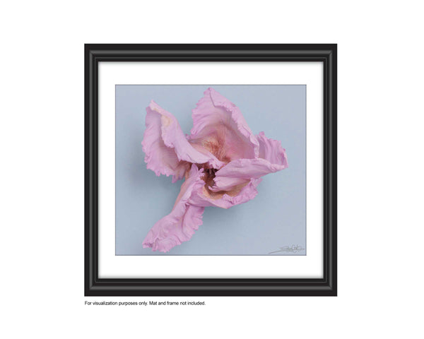 add to your art collection with theses colourful, inspiring photography prints by Laura Cook