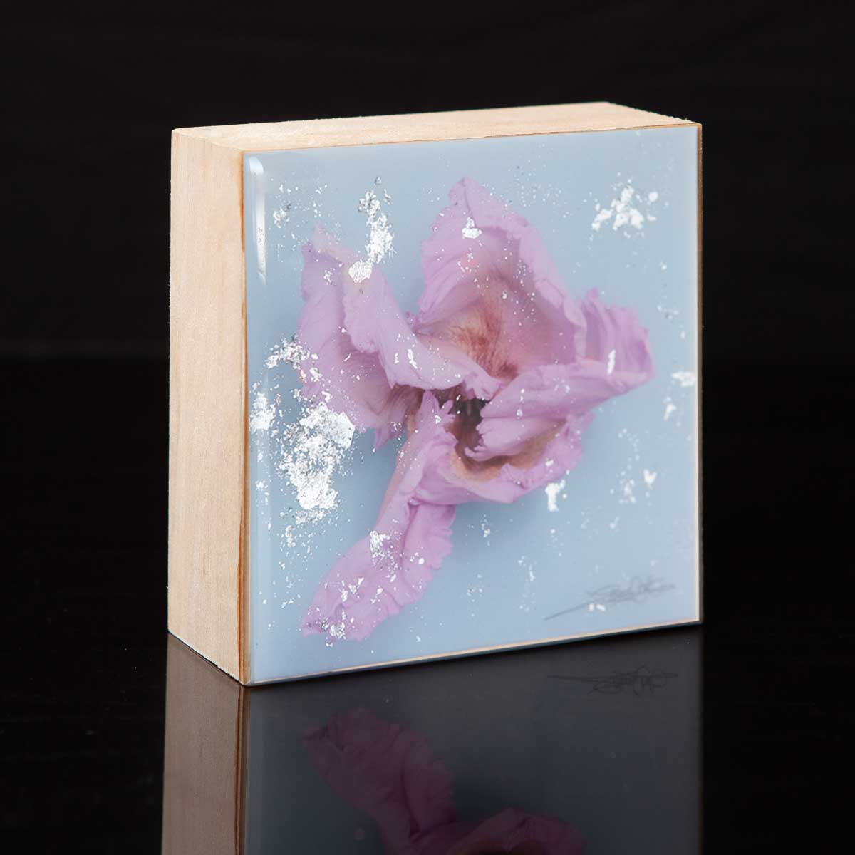 Wall Art Featuring Laura Cook's Photograph Twirl, encased in resin 