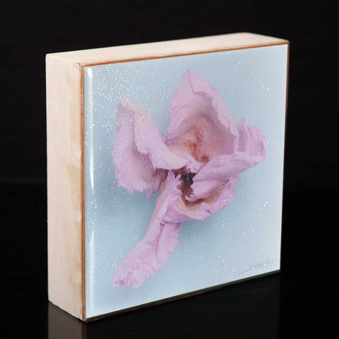 Wall Art Featuring Laura Cook's Photograph Twirl, encased in resin 