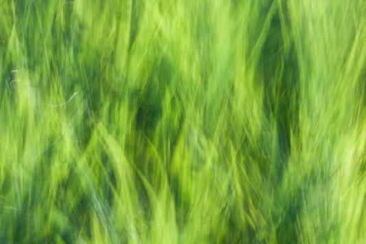 add to your art collection with theses colourful, inspiring photography prints by Laura Cook