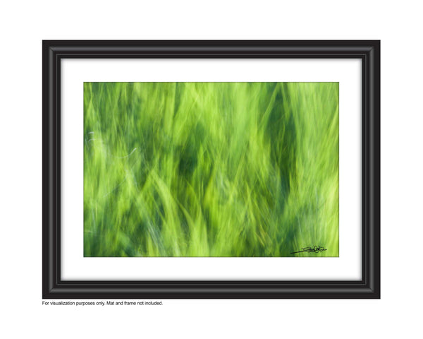 add to your art collection with theses colourful, inspiring photography prints by Laura Cook