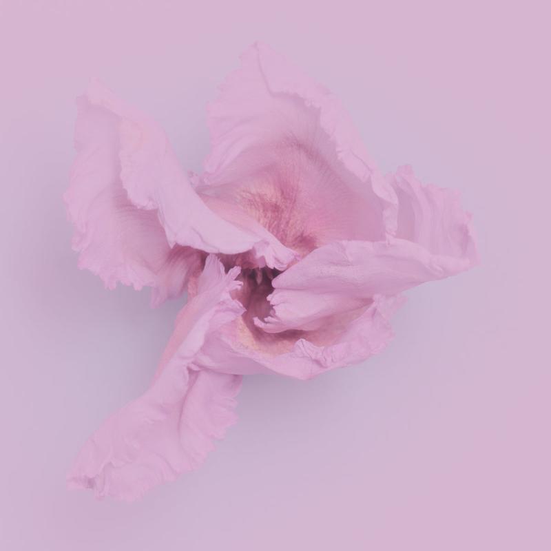 add to your art collection with theses colourful, inspiring photography prints by Laura Cook