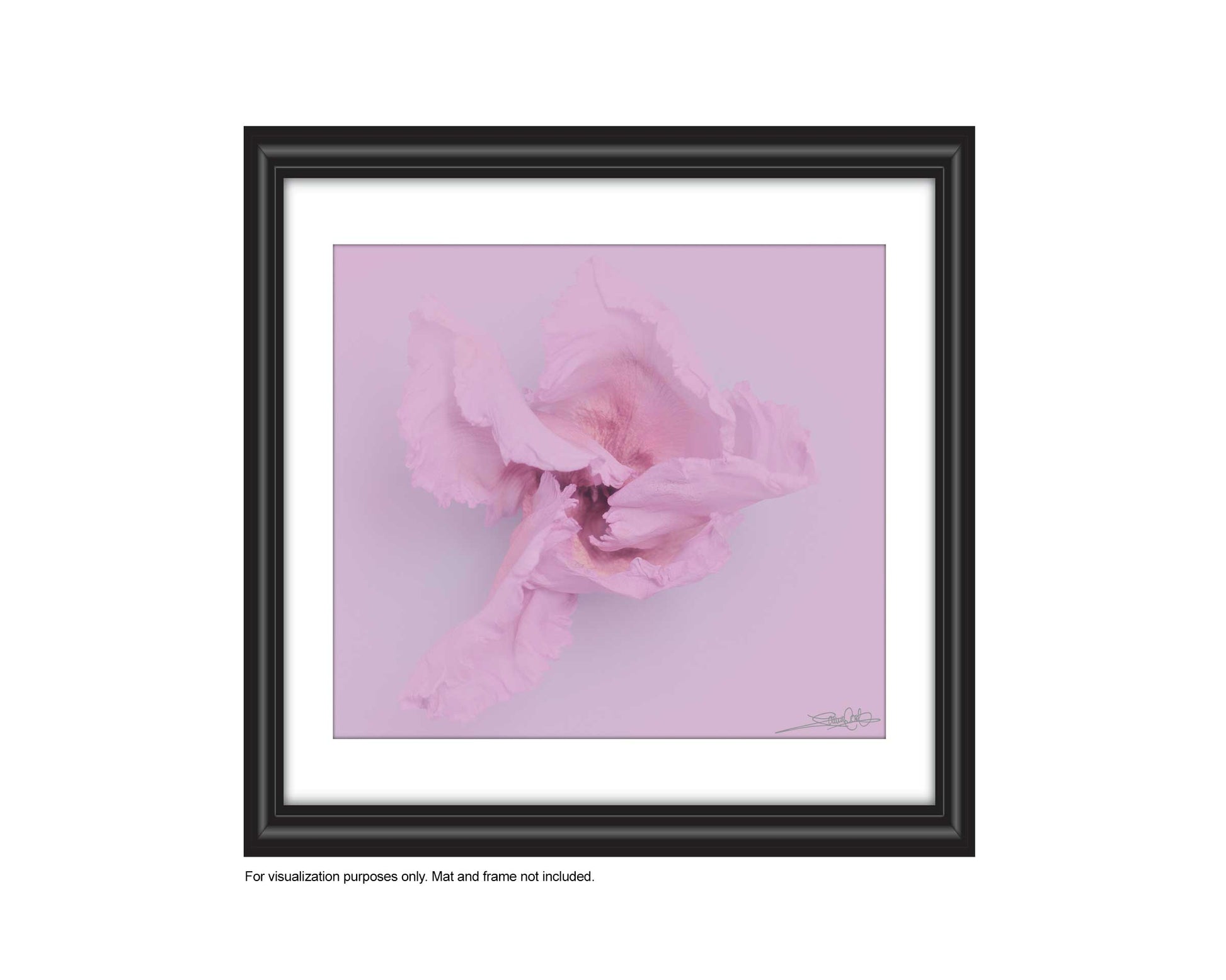 add to your art collection with theses colourful, inspiring photography prints by Laura Cook