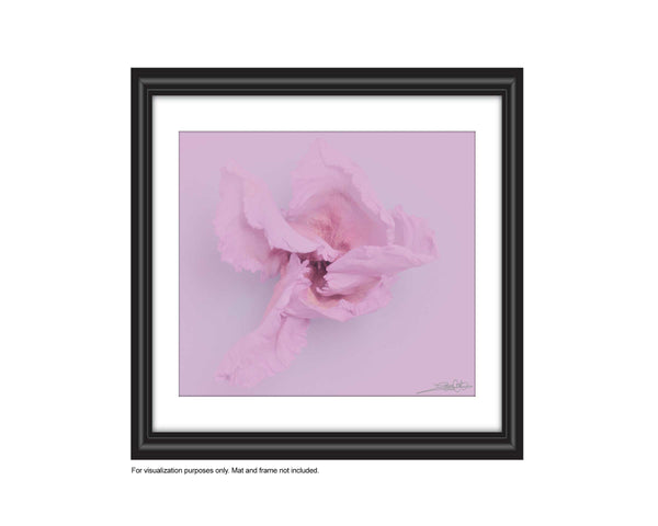 add to your art collection with theses colourful, inspiring photography prints by Laura Cook