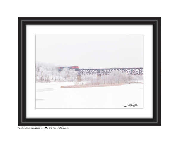 Photo by Cambridge Ontario Photographer Laura Cook of Vision Photography