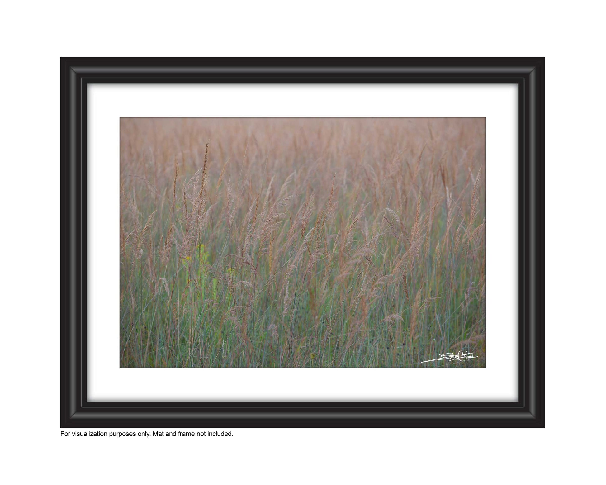 grasses swaying in the warm wind There's beauty in the simplicity of nature Photo by Cambridge Ontario Photographer Laura Cook of Vision Photography