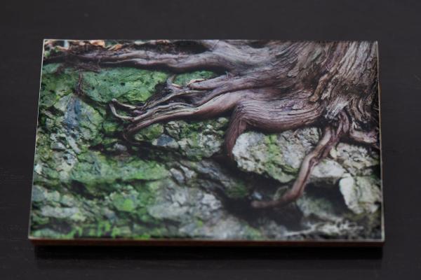 Start your art collection with these stunning magnets featuring Artist Laura Cook's Photograph