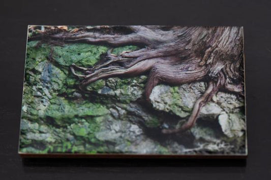 Start your art collection with these stunning magnets featuring Artist Laura Cook's Photograph