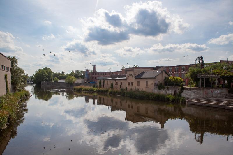 View of the Speed River at Jacobs Landing birds soaring above on a bright summer day - photo by laura cook of vision photography