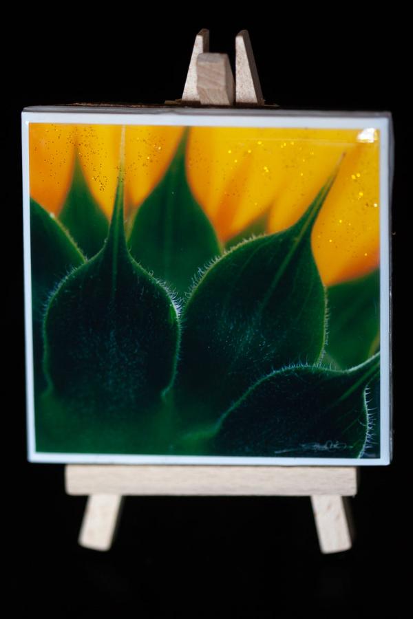 art mini for your home or office decor