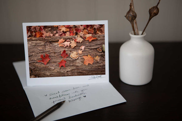 Photography Greeting card featuring "Maple" a close up view of fall maple leaves on bark in the forest in the autumn Photo by Cambridge Ontario Photographer Laura Cook of Vision Photography