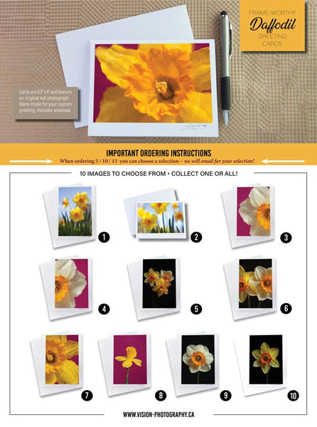 A chart shoeing the daffodil photo greeting card option available. There are 10 to choose from. Spring daffodil images and narcissis images on bright coloured backgrounds and black background. All photos were created by Laura Cook of Vision Photography
