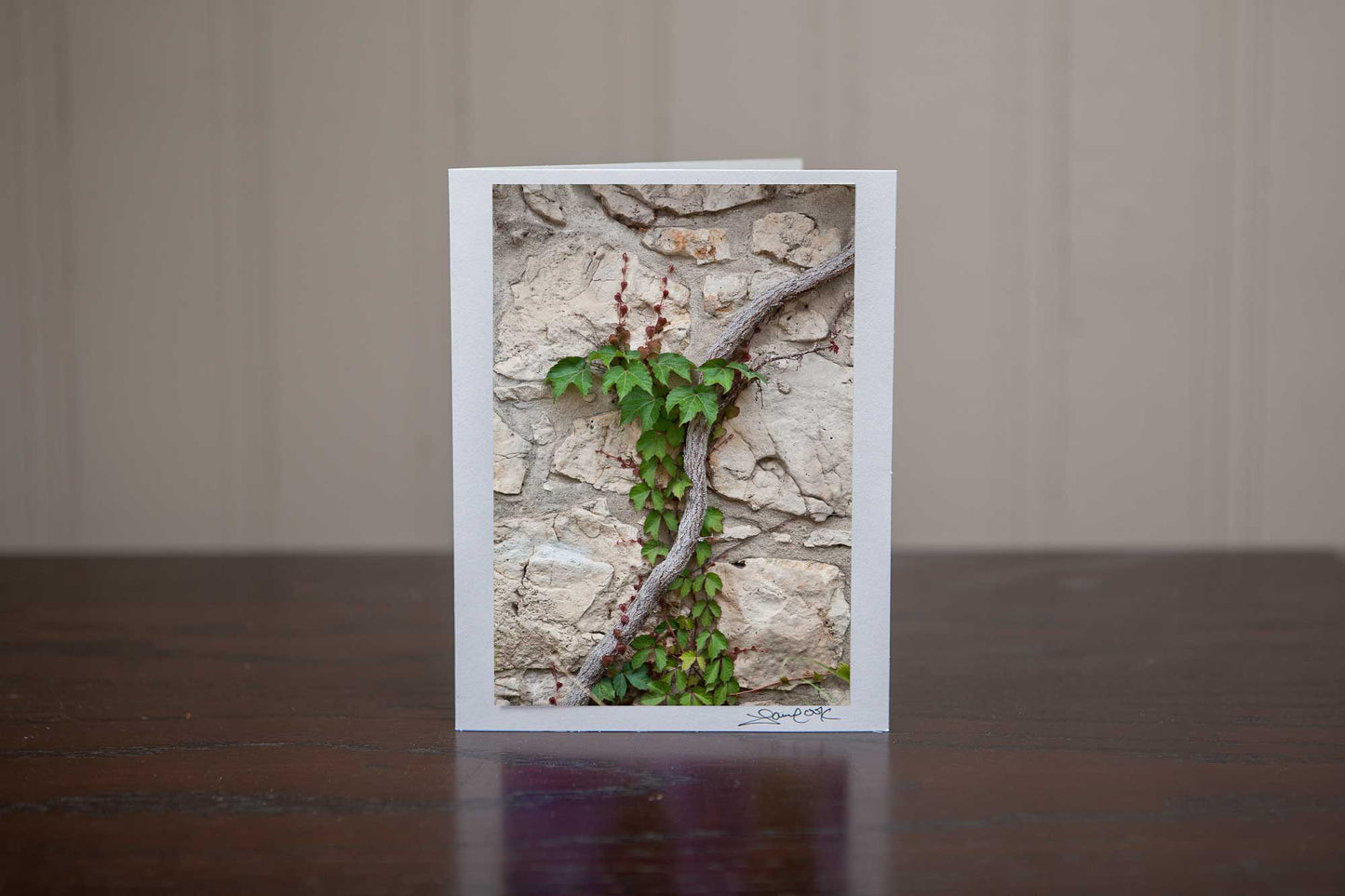 Photo greeting card of 'Thrive' a photo showing a hearty green vine growing up a stoney wall Photo by Cambridge Ontario Photographer Laura Cook of Vision Photography