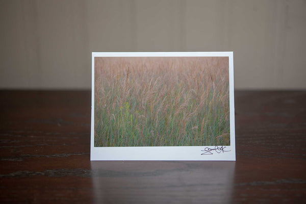 Photo greeting card featuring 'Wispy Flow' a photo of tall brown grasses gently blowing in the autumn breeze Photo by Cambridge Ontario Photographer Laura Cook of Vision Photography