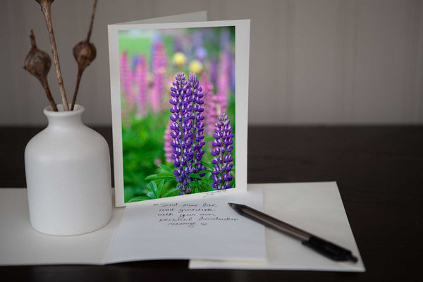 Photo greeting card featuring an image of a close up of purple and white lupines in the garden. Photo is mounted to white card stock and signed by the artist Laura Cook in the bottom right corner. 